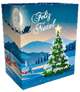 Caixa Natal 2026 P