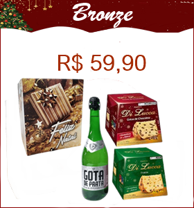 Cesta de Natal Bronze